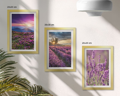 Bilderset mit rahmen Landschaft mit Lavendelfeldern und Sonnenuntergang