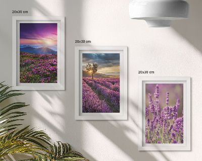 Bilderset mit rahmen Landschaft mit Lavendelfeldern und Sonnenuntergang