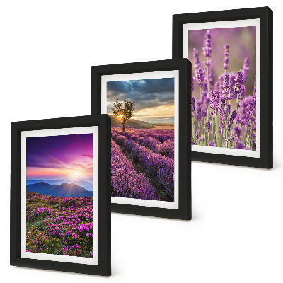 Bilderset mit rahmen Landschaft mit Lavendelfeldern und Sonnenuntergang