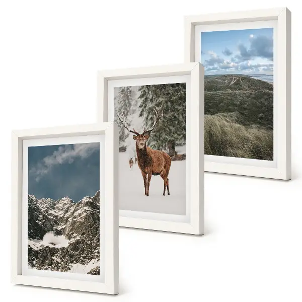 Fototapete mit verschneiten Bergen, Rehen im Wald und Landschaften