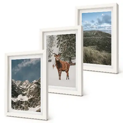 Fototapete mit verschneiten Bergen, Rehen im Wald und Landschaften