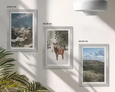 Fototapete mit verschneiten Bergen, Rehen im Wald und Landschaften