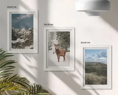 Fototapete mit verschneiten Bergen, Rehen im Wald und Landschaften