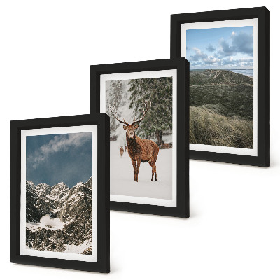 Fotowand Berge mit Schnee, Rehe im Wald, Landschaften