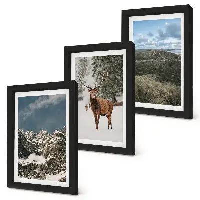 Fototapete mit verschneiten Bergen, Rehen im Wald und Landschaften