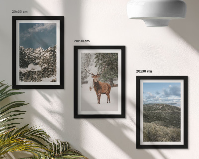 Fotowand Berge mit Schnee, Rehe im Wald, Landschaften