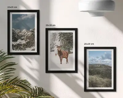 Fototapete mit verschneiten Bergen, Rehen im Wald und Landschaften