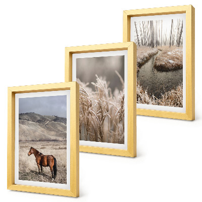 Bilderwand Pferde in einer Graslandschaft an einem Winterbach