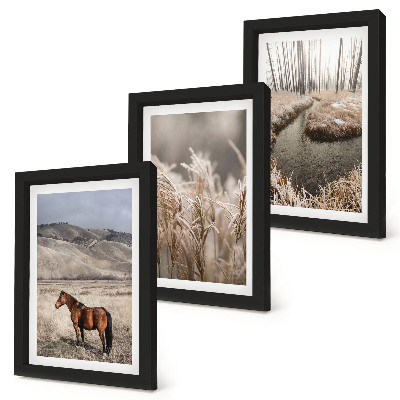 Bilderwand Pferde in einer Graslandschaft an einem Winterbach