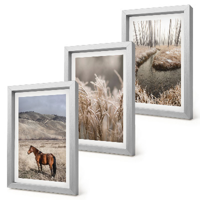 Bilderwand Pferde in einer Graslandschaft an einem Winterbach