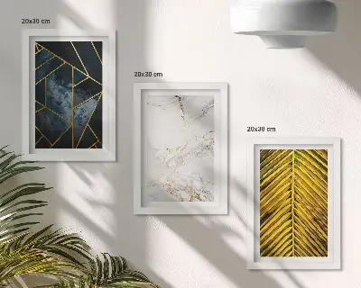 Bilderset mit Rahmen mit modernen geometrischen Mustern und natürlichen Pflanzenmotiven