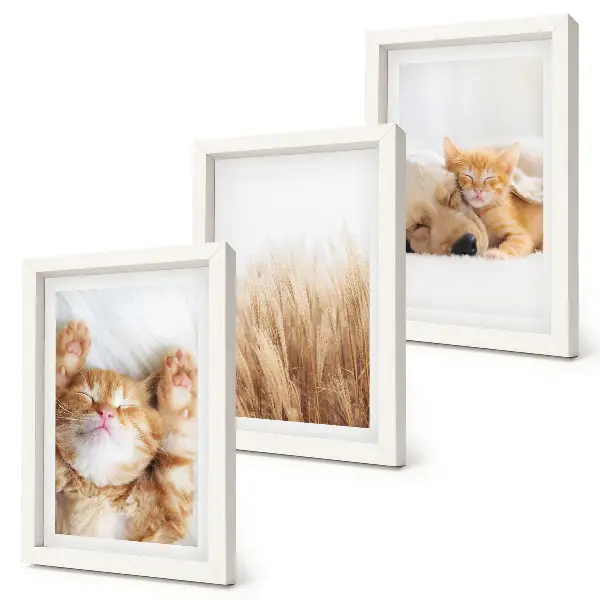 Bilderwand mit niedlichen Tieren wie Katzen und Hunden in zartem Gras im Boho-Stil