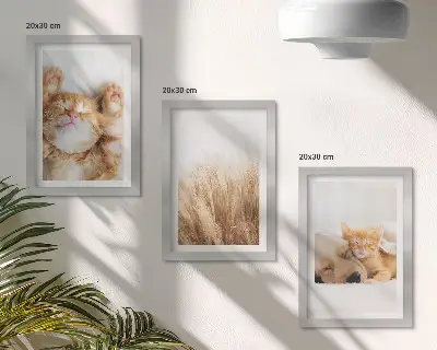 Bilderwand mit niedlichen Tieren wie Katzen und Hunden in zartem Gras im Boho-Stil