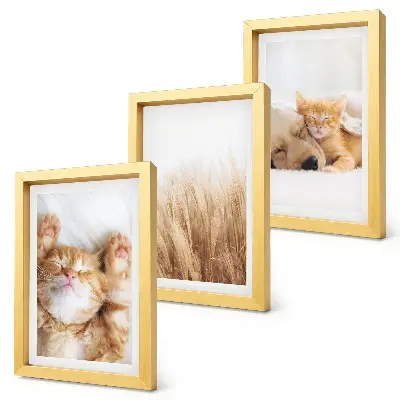 Bilderwand mit niedlichen Tieren wie Katzen und Hunden in zartem Gras im Boho-Stil