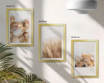 Bilderwand mit niedlichen Tieren wie Katzen und Hunden in zartem Gras im Boho-Stil