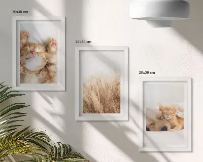 Bilderwand mit niedlichen Tieren wie Katzen und Hunden in zartem Gras im Boho-Stil