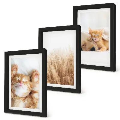 Bilderwand mit niedlichen Tieren wie Katzen und Hunden in zartem Gras im Boho-Stil