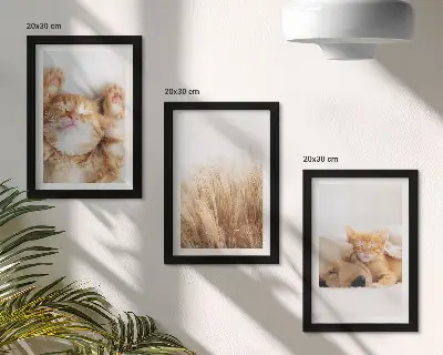 Bilderwand mit niedlichen Tieren wie Katzen und Hunden in zartem Gras im Boho-Stil