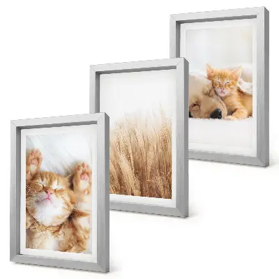 Bilderwand mit niedlichen Tieren wie Katzen und Hunden in zartem Gras im Boho-Stil