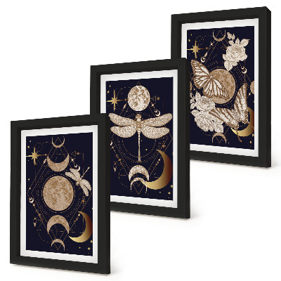 Bilderset mit rahmen Naturmotive mit Mond, Weltraum und Blumen