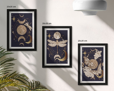 Bilderset mit rahmen Naturmotive mit Mond, Weltraum und Blumen