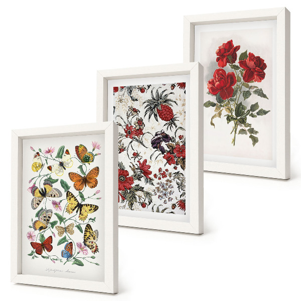 Fotowand Schmetterlinge, Blumen und rote Rosen im klassischen Stil