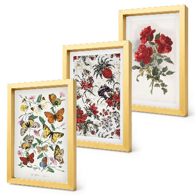 Fotowand Schmetterlinge, Blumen und rote Rosen im klassischen Stil
