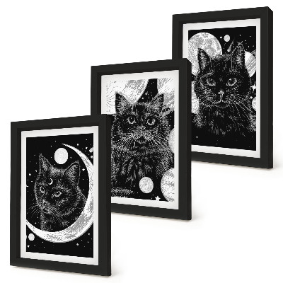 Bilderset mit rahmen Schwarze Katzen vor dem Hintergrund von Mond und Planeten im Weltraum
