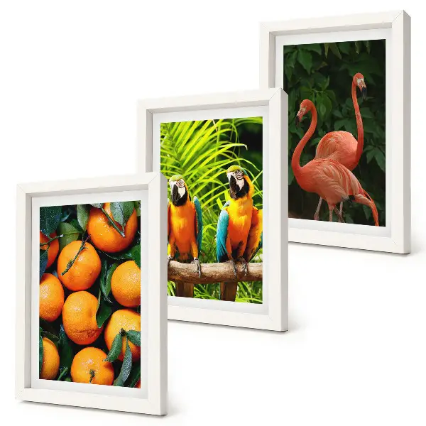 Bilderwand mit fruchtigen Akzenten, Papageien und Flamingos in den Tropen