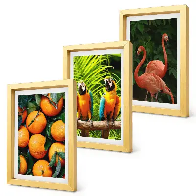 Bilderwand mit fruchtigen Akzenten, Papageien und Flamingos in den Tropen