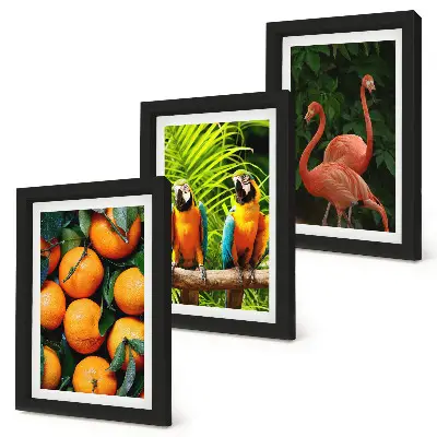 Bilderwand mit fruchtigen Akzenten, Papageien und Flamingos in den Tropen