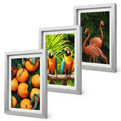Bilderwand mit fruchtigen Akzenten, Papageien und Flamingos in den Tropen