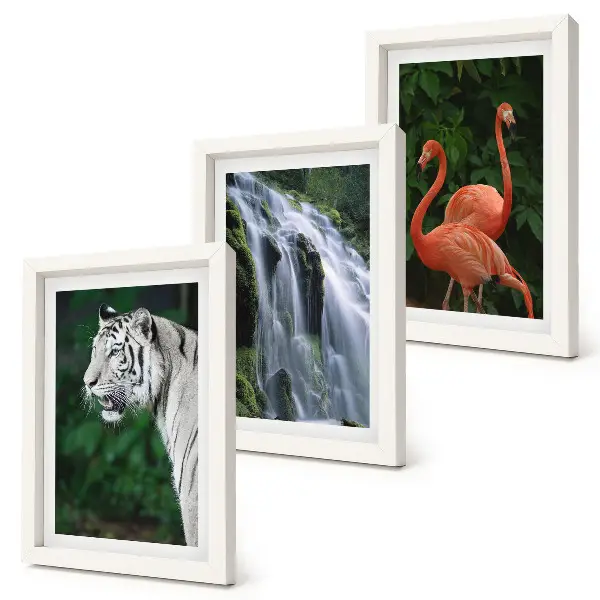 Bilderset mit Rahmen Tiger am Wasserfall und rosa Flamingos in der Natur