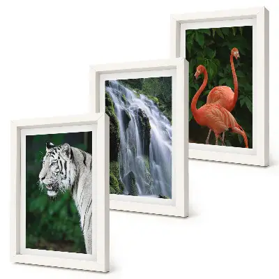 Bilderset mit Rahmen Tiger am Wasserfall und rosa Flamingos in der Natur