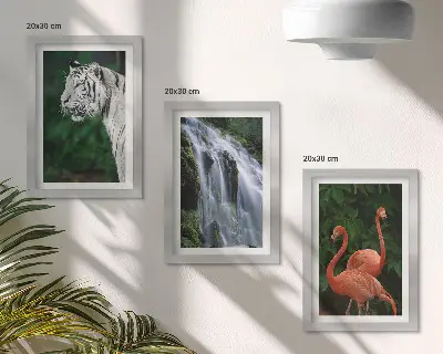 Bilderset mit Rahmen Tiger am Wasserfall und rosa Flamingos in der Natur