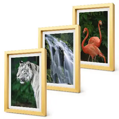 Bilderset mit Rahmen Tiger am Wasserfall und rosa Flamingos in der Natur