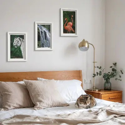 Bilderset mit Rahmen Tiger am Wasserfall und rosa Flamingos in der Natur