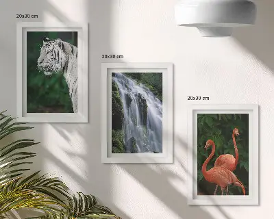Bilderset mit Rahmen Tiger am Wasserfall und rosa Flamingos in der Natur