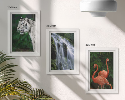 Bilderset mit rahmen Tigerwasserfall und rosa Flamingos in der Natur