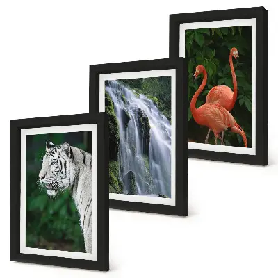 Bilderset mit Rahmen Tiger am Wasserfall und rosa Flamingos in der Natur