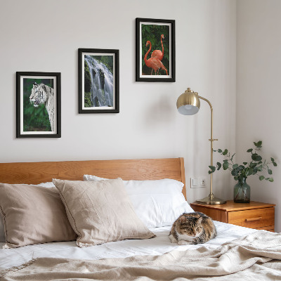 Bilderset mit rahmen Tigerwasserfall und rosa Flamingos in der Natur