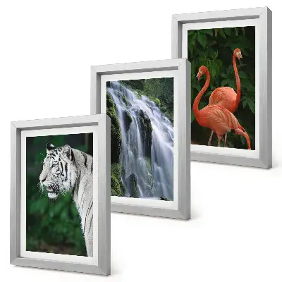 Bilderset mit Rahmen Tiger am Wasserfall und rosa Flamingos in der Natur