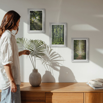 Bilderwand Grüne Wälder mit Lichtstrahlen und ein Waldweg