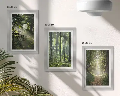 Bilderwand mit grünen Wäldern bei Lichtstrahlen auf einem Waldweg