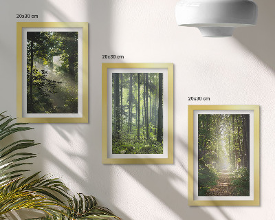 Bilderwand Grüne Wälder mit Lichtstrahlen und ein Waldweg