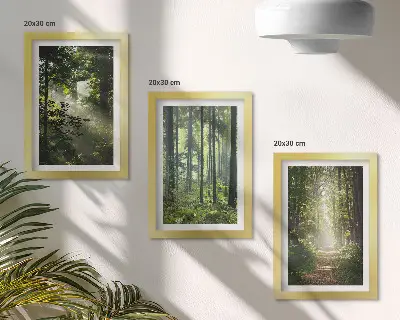 Bilderwand mit grünen Wäldern bei Lichtstrahlen auf einem Waldweg