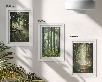 Bilderwand Grüne Wälder mit Lichtstrahlen und ein Waldweg