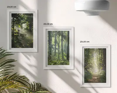 Bilderwand mit grünen Wäldern bei Lichtstrahlen auf einem Waldweg