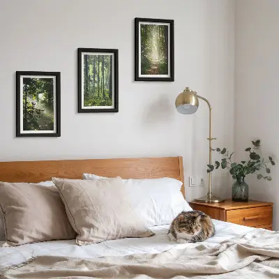 Bilderwand mit grünen Wäldern bei Lichtstrahlen auf einem Waldweg