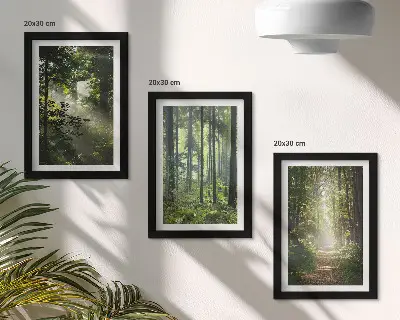 Bilderwand mit grünen Wäldern bei Lichtstrahlen auf einem Waldweg